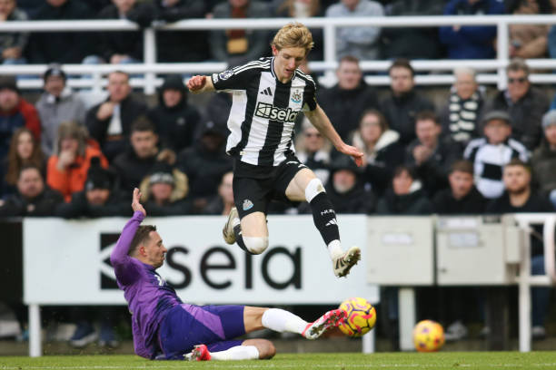 疑是库利巴 疑是库利巴